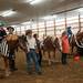 Riders and volunteers of Therapeutic Riding, Inc. pose for friends and families in their costumes at the Harold and Kay Peplau Therapeutic Riding Center's Halloween Trick-or-Treat horse ride. (Tanya Moutzalias for AnnArbor.com)
